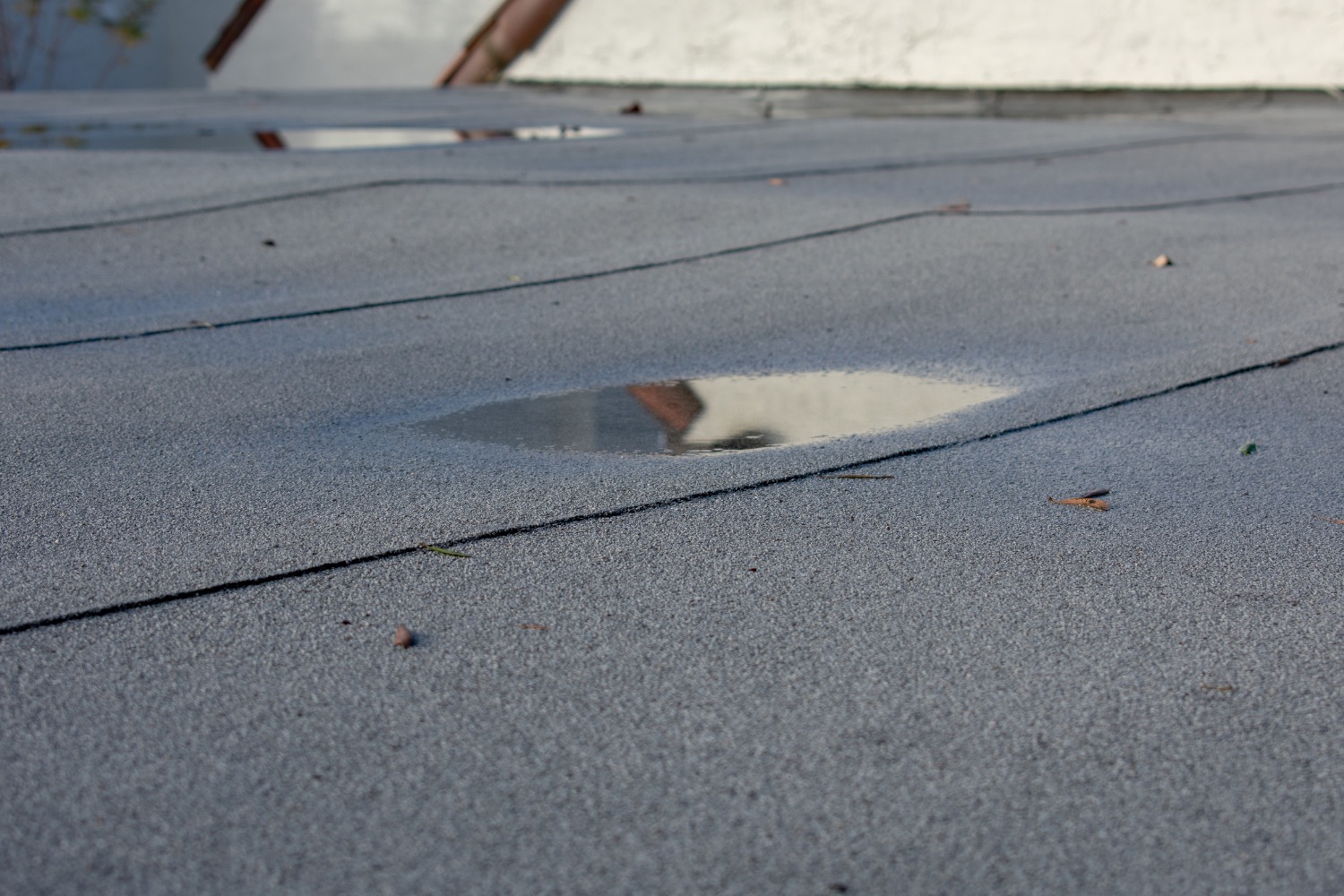 flat roof ponding