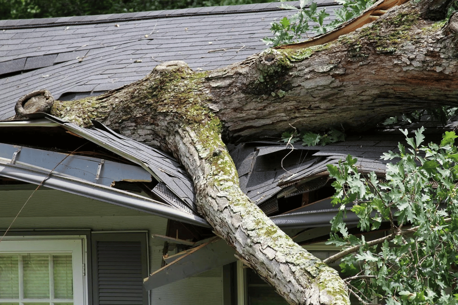 storm damage repair service block